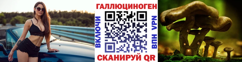 закладка  Тамбов  Псилоцибиновые грибы Psilocybe 